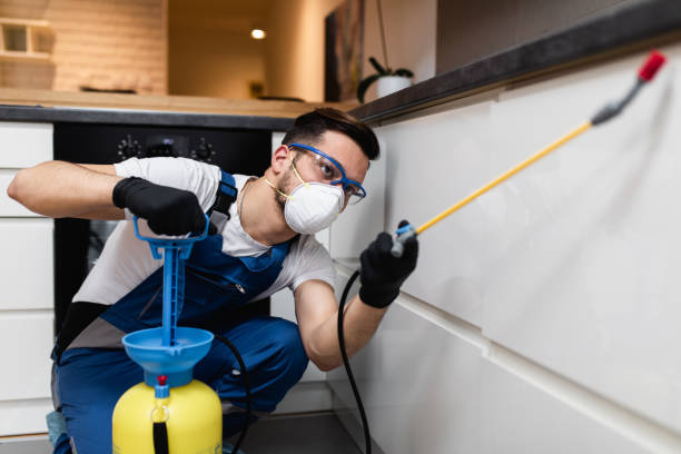 Best Pest Prevention Services  in Huron, SD
