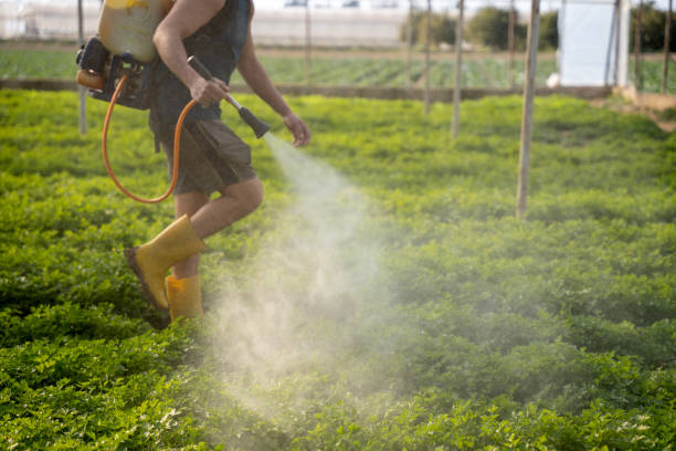 Best Best Pest Control Companies  in Huron, SD