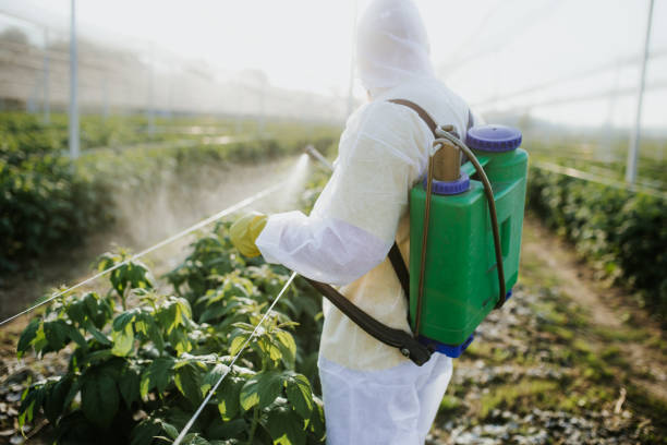 Best Local Pest Control Services  in Huron, SD